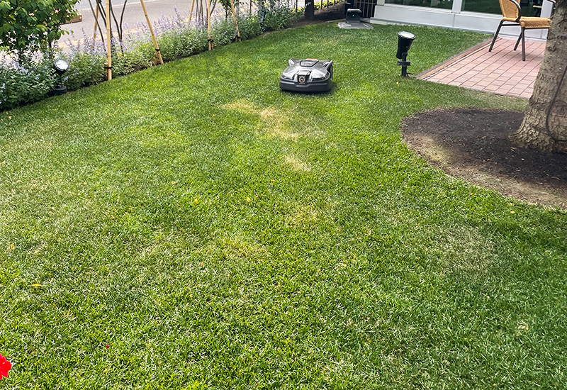 exleaf19092688 exleaf19092688