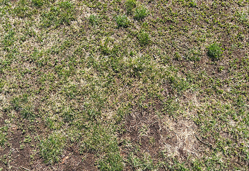 exleaf19092690 exleaf19092690