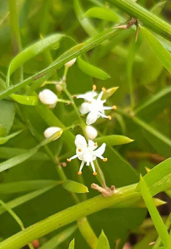 exleaf19092706 exleaf19092706