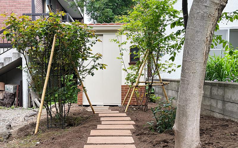 Stone stepping path leading to a beige shed in a small backyard with young trees supported by wooden stakes and a surrounding brick wall and greenery
