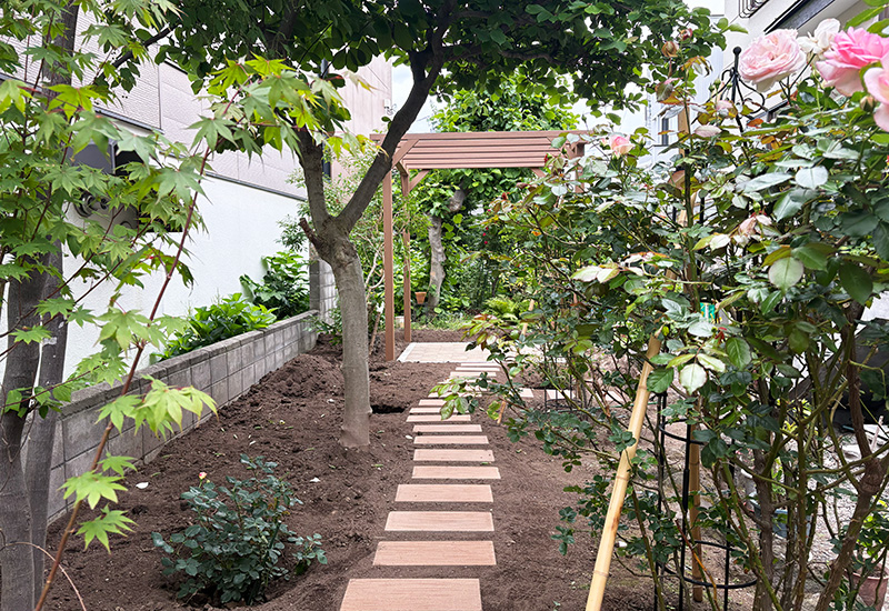 Garden path with rectangular stepping stones under a wooden pergola, flanked by trees and rose bushes in a backyard