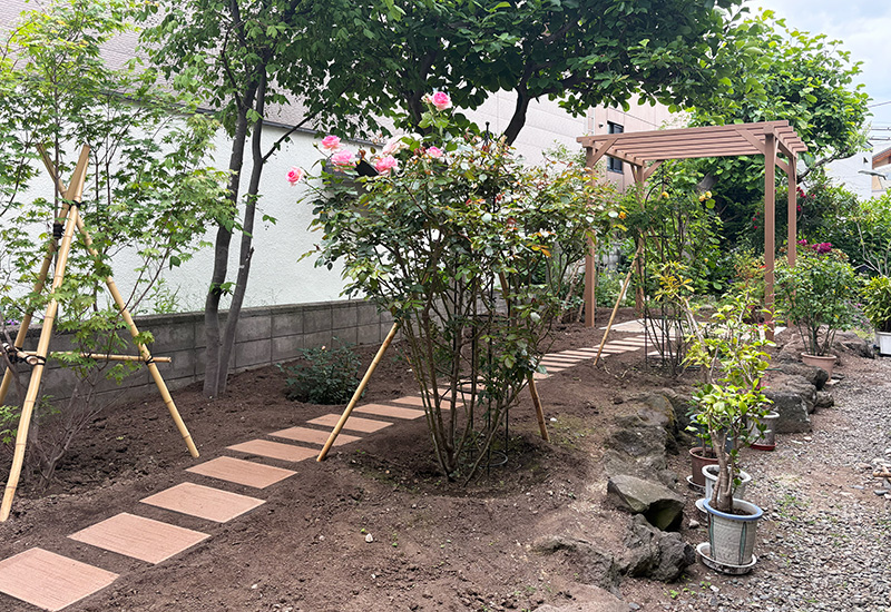 Stone stepping-path winds through a sunny garden with pink roses and a wooden pergola in the background.