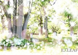 みなぎる力