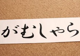 がむしゃらに