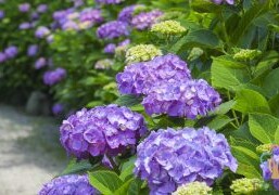 exleaf05