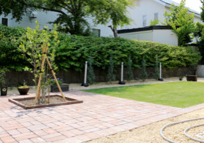 exleaf19092363